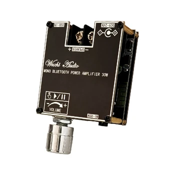 ZK-301B Mono 30W AudioAmplifier Valdybos BT5.3 Paramos Pora Lauką ir MP3, WMA, WAV